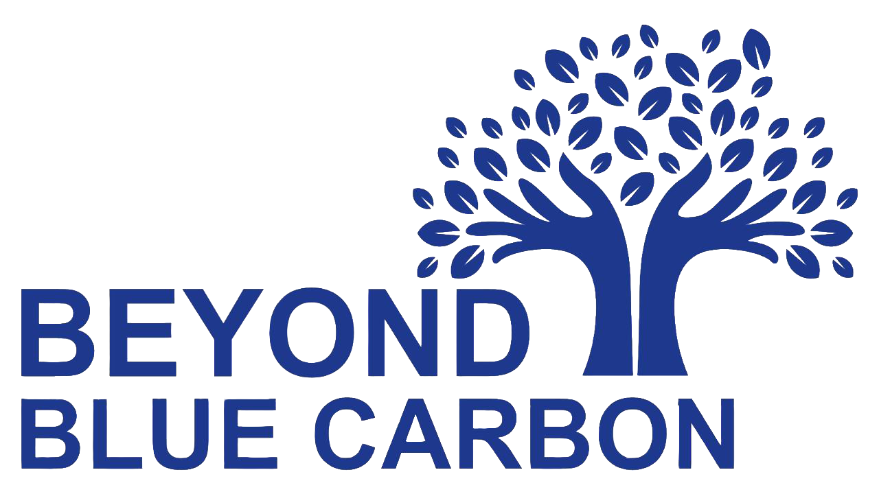 Beyond Blue Carbon